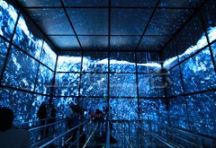 彩光對(duì)世博演繹做出了突出貢獻(xiàn)